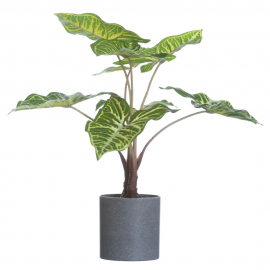 Planta philodendron artificial. 40 cm.