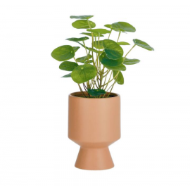 Planta artificial Bailey con maceta de cerámica rosa 21,6 cm